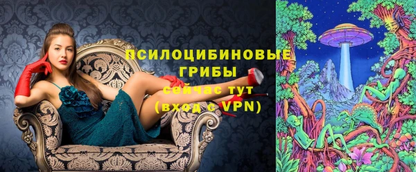 тгк Алексин