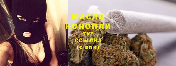 тгк Алексин
