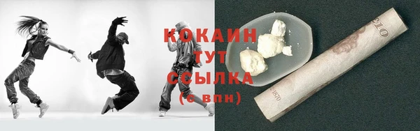 тгк Алексин