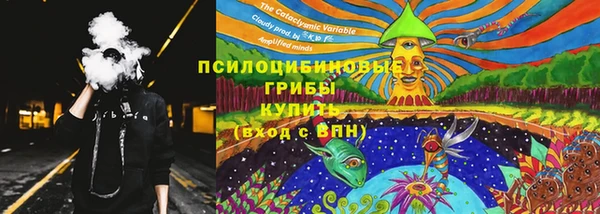 тгк Алексин